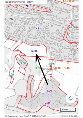 Bodenrichtwert und ungefähre Lage.png