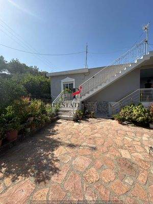 WhatsApp Image 2024-09-06 at 13.20.59 (54).jpeg