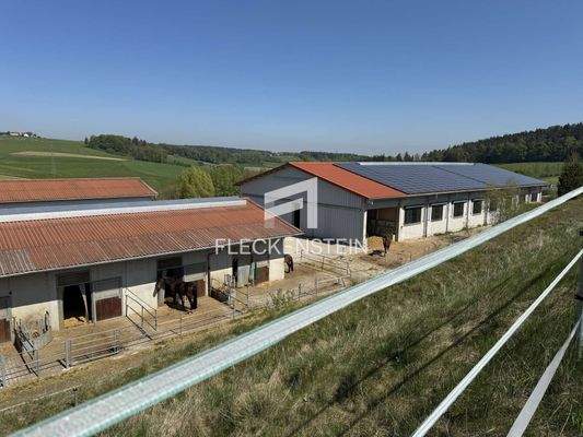 neuer Stall mit Halle