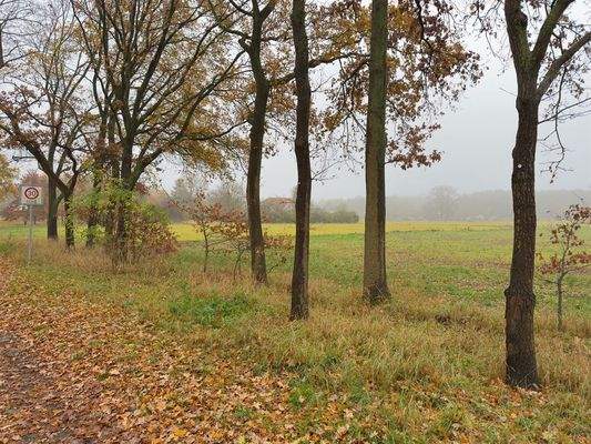 unbebaubares Feld auf der anderen Seite