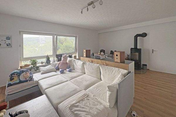 Wohnen mit Schwedenofen