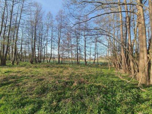 Baugrundstücke 3.jpg