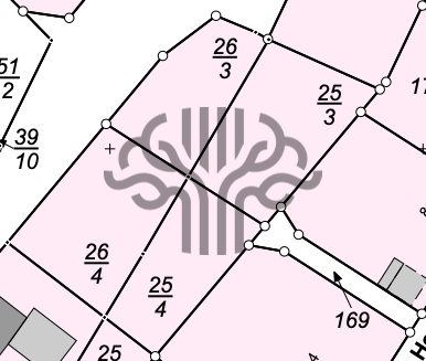 Auszug aus dem Liegenschaftskataster (1)