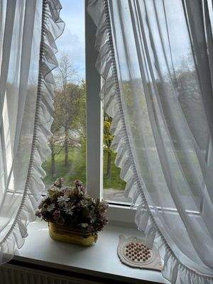 Blick aus linkem Fenster.jpg