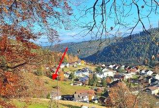 20251108_144557 pfeil.jpg