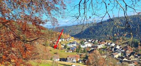 Bad Wildbad Grundstücke, Bad Wildbad Grundstück kaufen