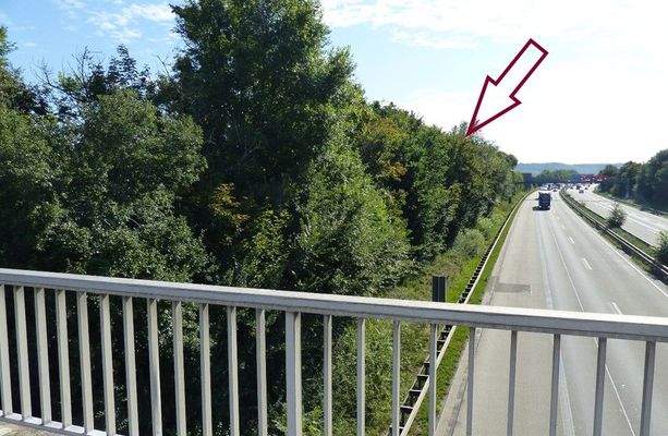 Blick auf eine Verkaufsfläche