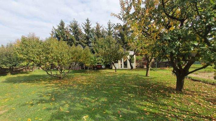 312108265_616088856878676_1680915974358880030_n.jp