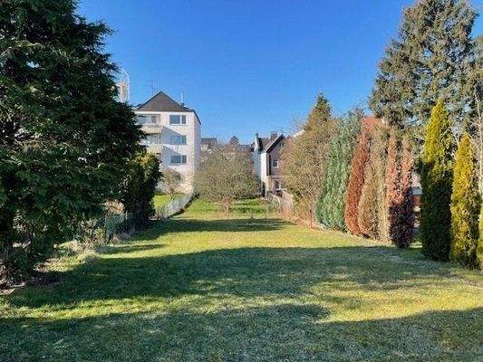 Blick von hinten in Richtung Haus