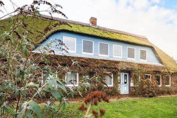 Reetdachhaus