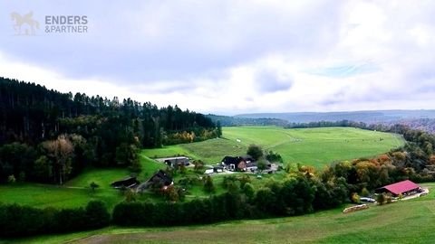 Stühlingen Bauernhöfe, Landwirtschaft, Stühlingen Forstwirtschaft