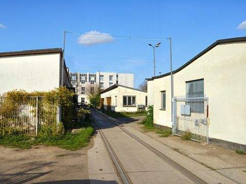 Rostock Halle, Rostock Hallenfläche