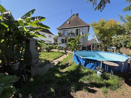 Blick aus dem Garten