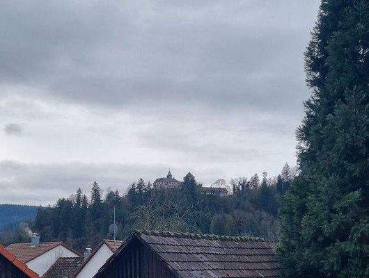 Blick Terrasse/Garten