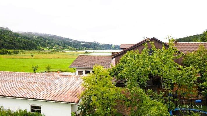 Blick zum Alpsee