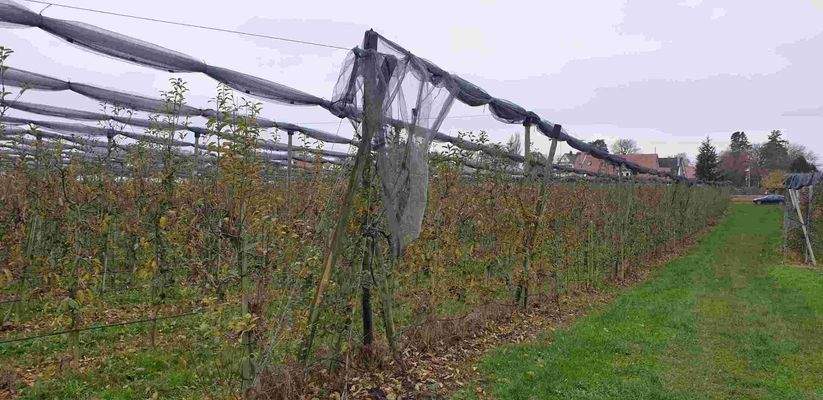 Blick von Norden Richtung Süden.jpg