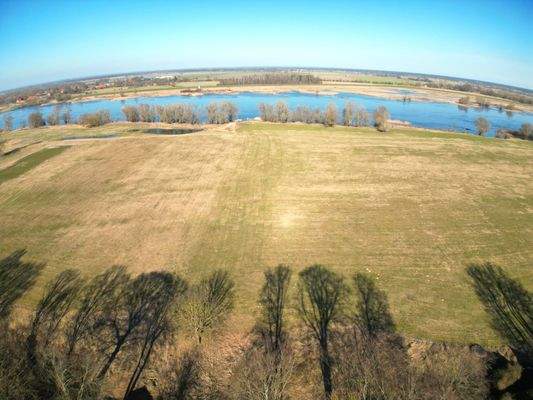Elbtalaue Ausblick vom Grundstück