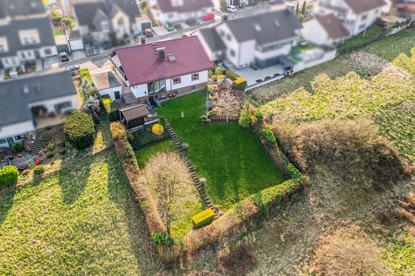 Eingewachsener Garten mit Gartenhaus