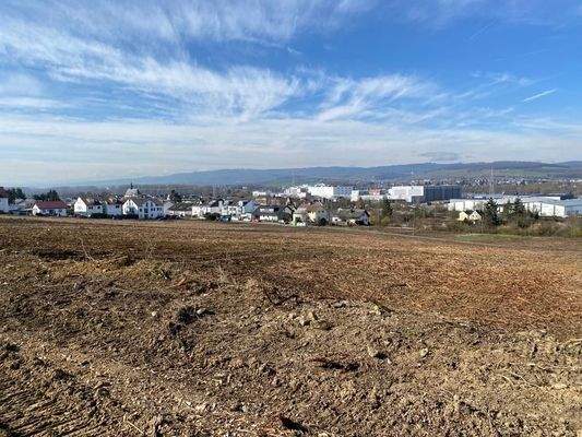 Nach Rodung 03.2024 c.JPG