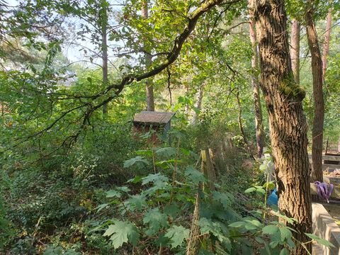 Heidesee Grundstücke, Heidesee Grundstück kaufen