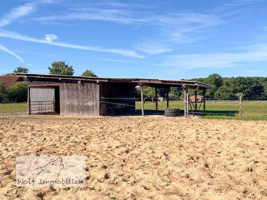 Offenstall und Paddock