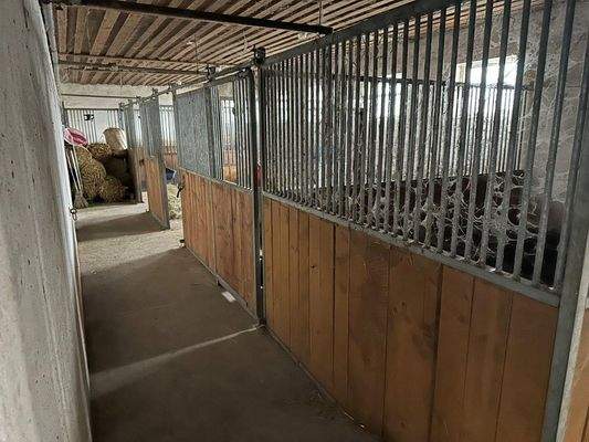 Stall