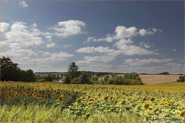 Strasse und Ausblicke_6140