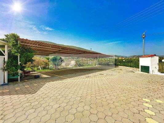 img_9eeee23e-6fd5-46d3-8c34-53a3b3f74124