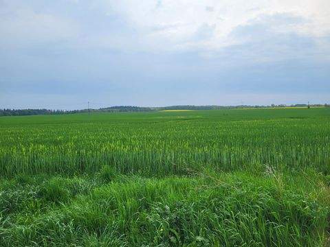 Cammin Grundstücke, Cammin Grundstück kaufen