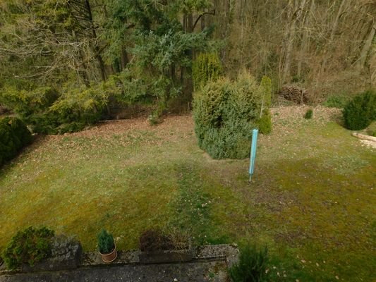 Blick in den Garten