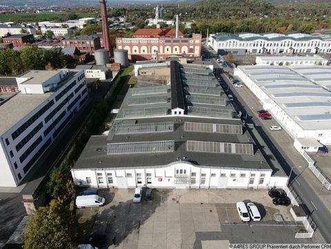 Dresden Halle, Dresden Hallenfläche