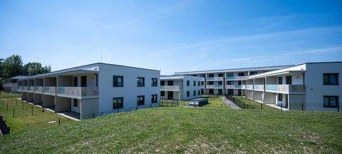 Wiener Neustadt Wohnungen, Wiener Neustadt Wohnung mieten