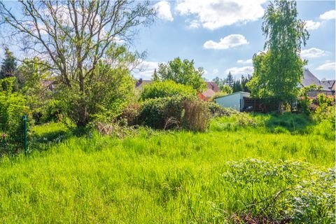 Zwickau Grundstücke, Zwickau Grundstück kaufen