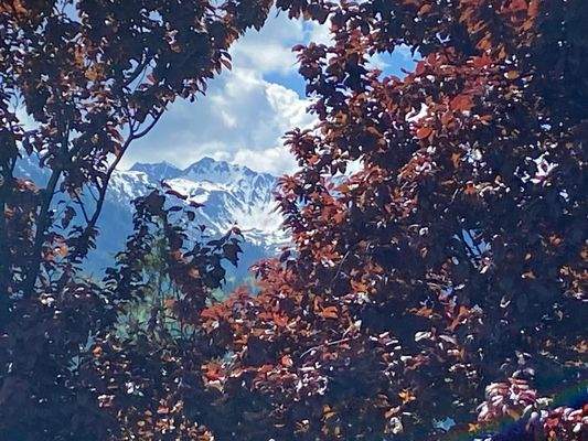 Ihre Aussicht vom Balkon