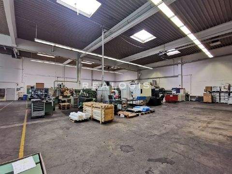 Barsbüttel Halle, Barsbüttel Hallenfläche