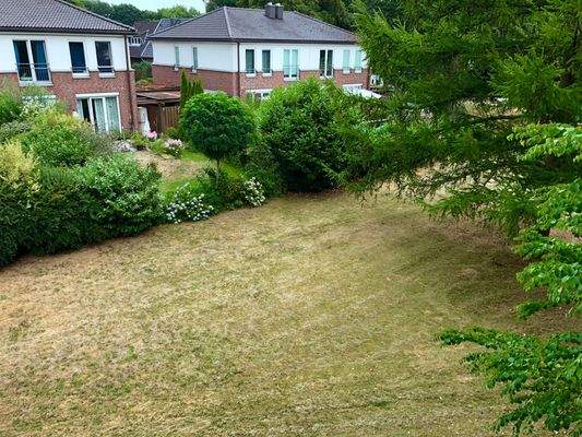 0270-103-Blick in den Garten 2018-07-26.jpg