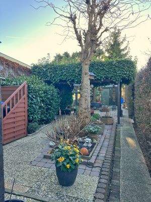 Garten; hinterer Bereich