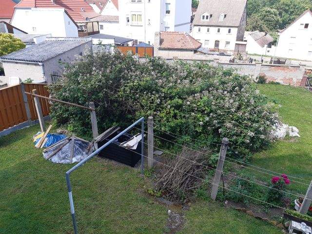 Frisch renovierte 2-Zimmer-Wohnung in zentraler Lage ab voraussichtlich Juni - Foto 1