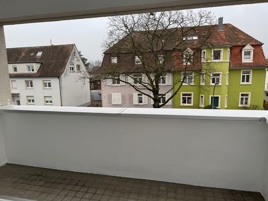 Blattgrün im Sommer.jpg