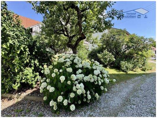 Sehr schön angelegt