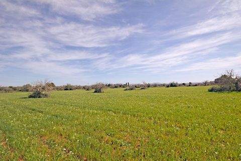 Campos Grundstücke, Campos Grundstück kaufen