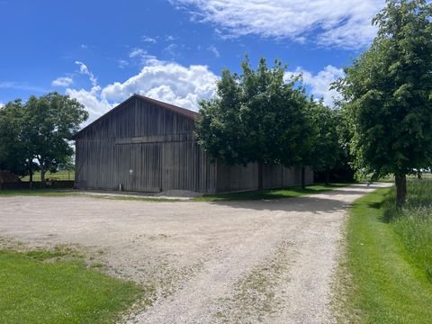 Karlskron Halle, Karlskron Hallenfläche