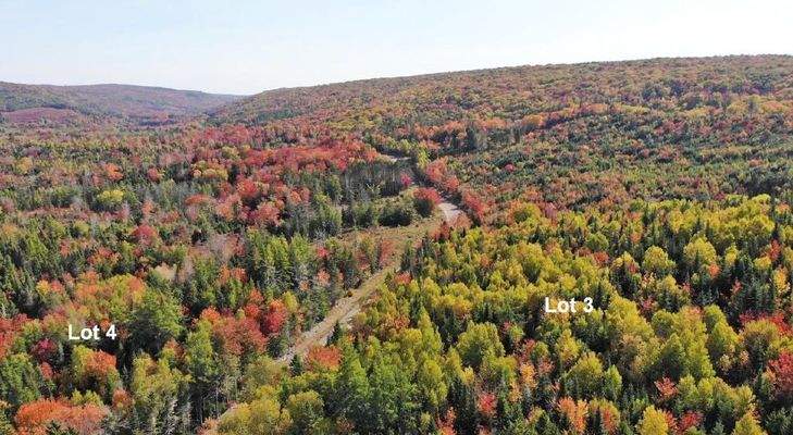 Nova Scotia - West Side Country Harbour - Preiswer