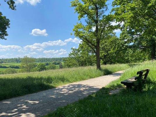 Naturschutzgebiet "Eichenhain"