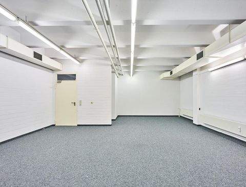 Frickenhausen Halle, Frickenhausen Hallenfläche