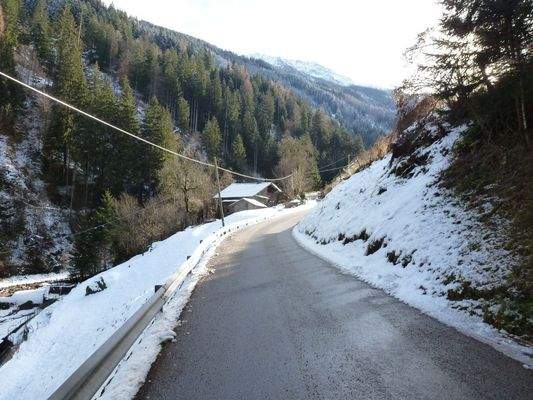 Hof-Sankt Pankraz-maso-val d'ultimo-Ultental-Wald-Wiese