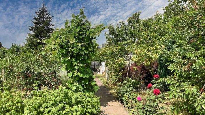 Begrüntes Grundstück