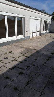 WhatsApp Image 2022-08-03 at 12.31.26.jpeg