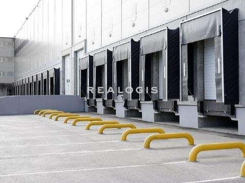 Karlsfeld Halle, Karlsfeld Hallenfläche