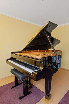 Flügel im Musikzimmer.jpg
